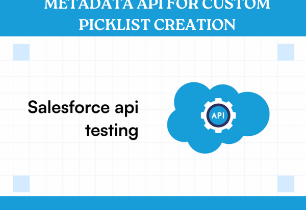 harnessing the salesforce metadata api for custom picklist creation